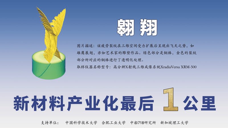 两性表面活性剂：洗发水中的“双面佳人”**
