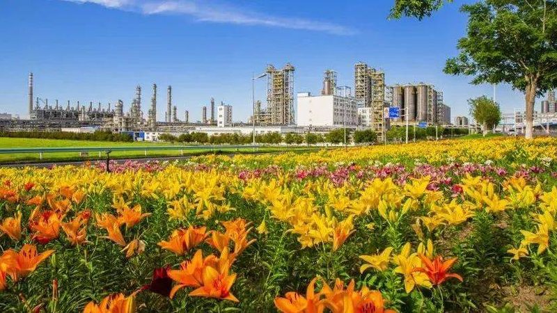 化妆品防腐剂：如何选择安全可靠的厂家直销产品**