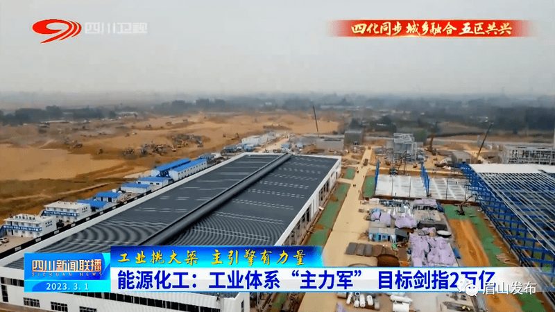 无机化工原料品牌排名背后的行业洞察**